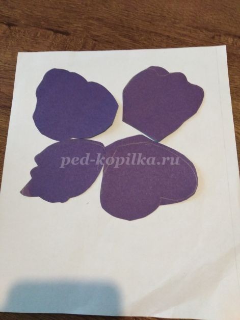 Анютины глазки