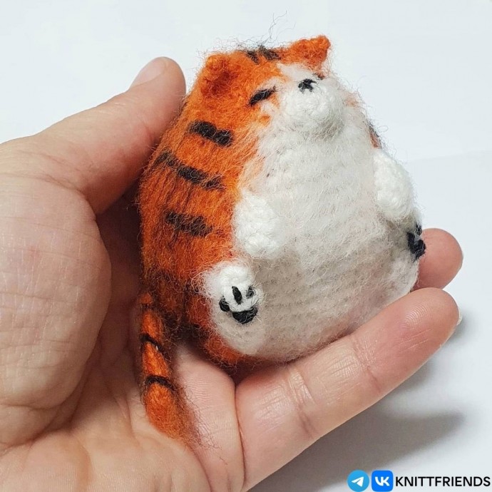 Котик Котик