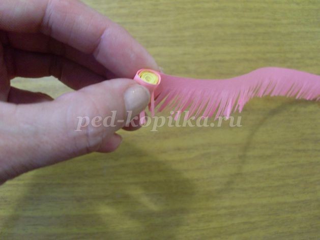 Маргаритки: часть 1