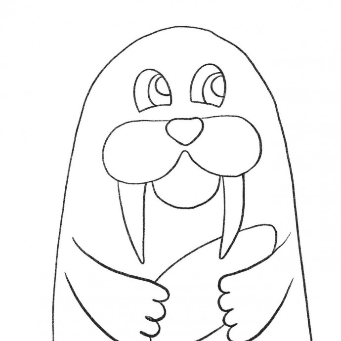 Рисуем с детьми моржа Рисуем с детьми моржа