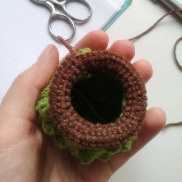 Кактус для мамы Кактус для мамы