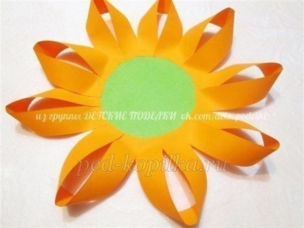 ​Зрелые подсолнушки