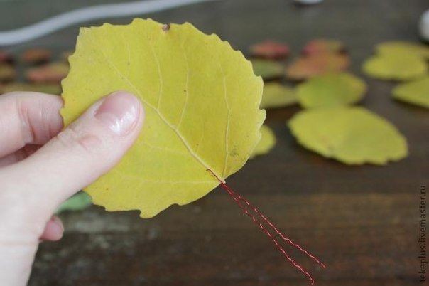 Розочки из листиков Розочки из листиков