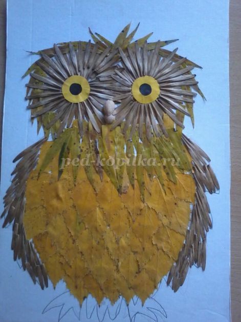 ​Совушка-сова из крылатки клёна: часть 2