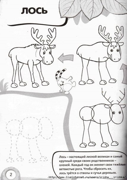 Учим детей рисовать животных