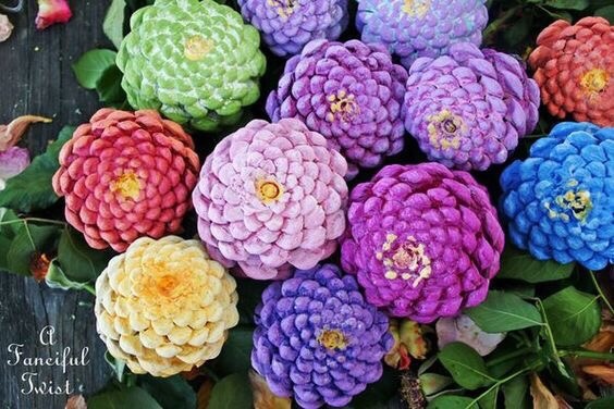 Яркие букеты из шишек