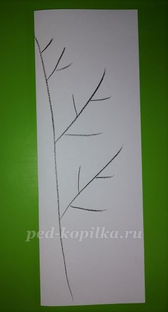 Дерево из цветной бумаги Дерево из цветной бумаги