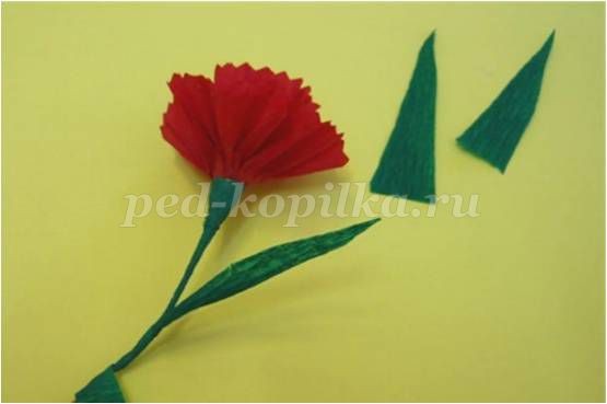 Гвоздика из креповой бумаги Гвоздика из креповой бумаги