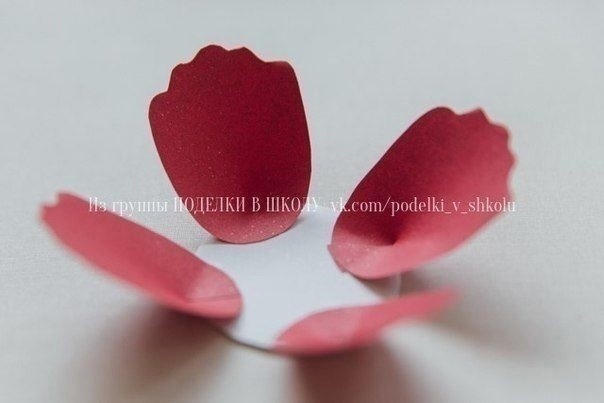​Объёмные цветочки из плотной цветной бумаги