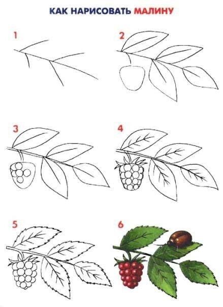 Учим детей рисовать листья малины