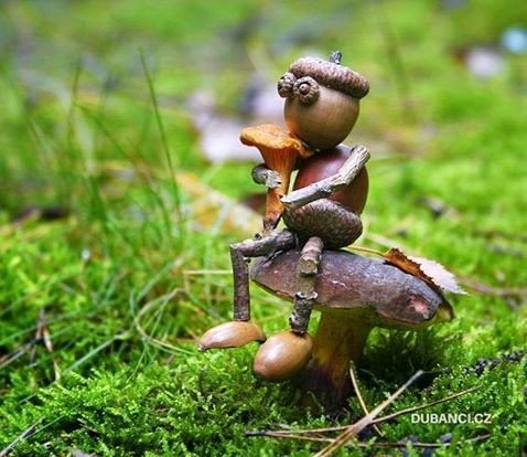 ​Весёлые желуди