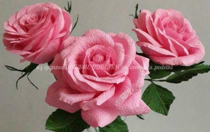 Прекрасные розы Прекрасные розы