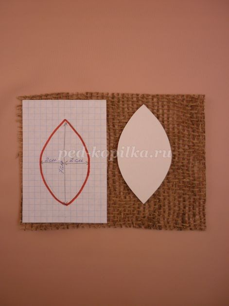 Цветы из тыквенных семечек детскими руками: мастер-класс Цветы из тыквенных семечек детскими руками: мастер-класс