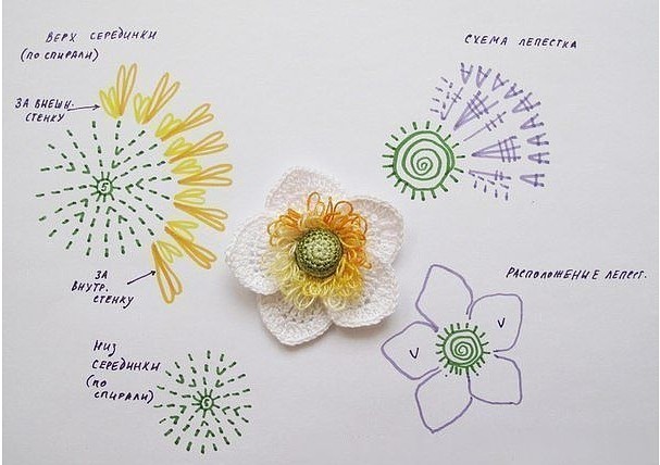 Красивый и нежный цветок