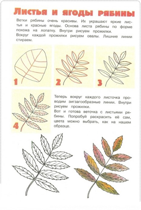 Уроки рисования: листья