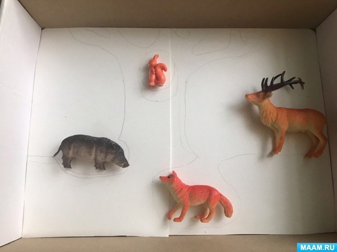 Тайный мир животных Тайный мир животных