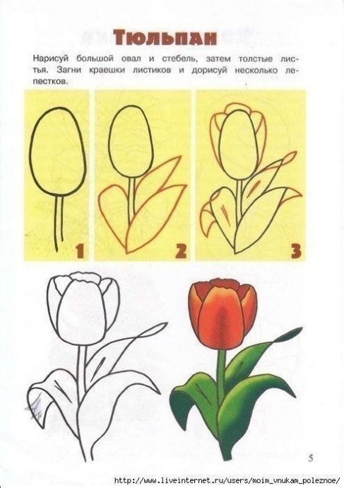 Учим детей рисовать цветы