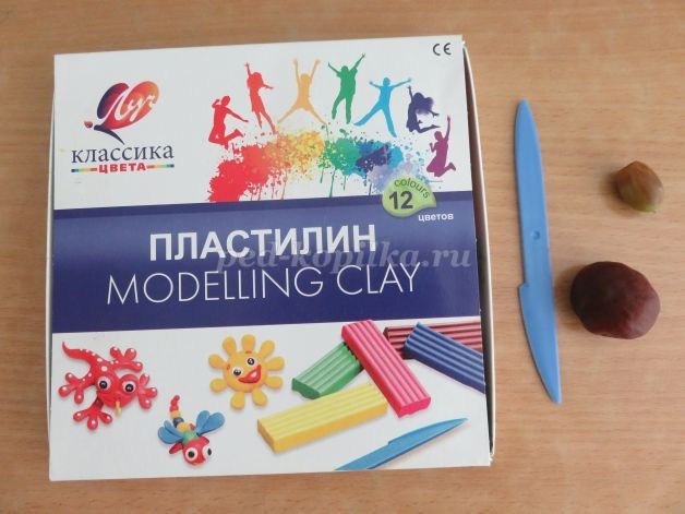 Павлин из природного материала Павлин из природного материала