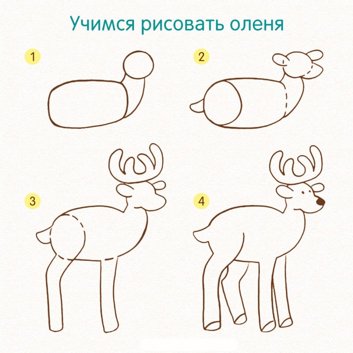 ​Учимся рисовать животных