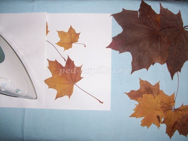 Композиция из даров природы