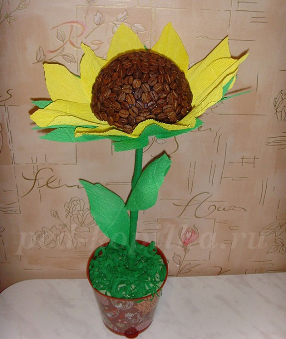 Как сделать подсолнух из кофейных зерен Как сделать подсолнух из кофейных зерен