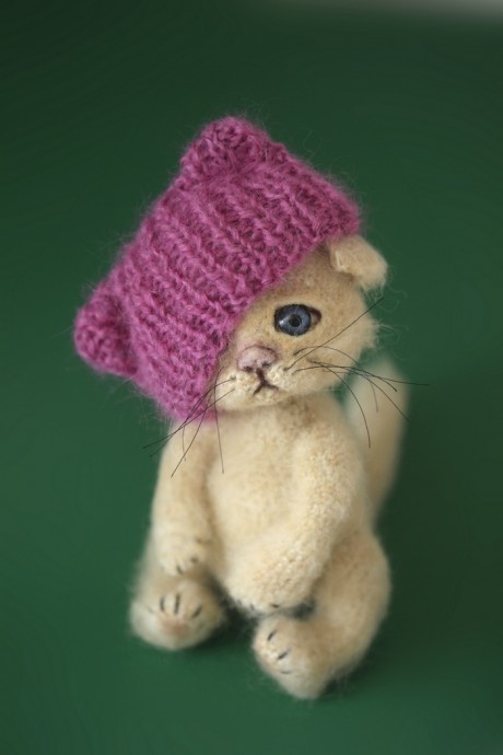 Котик в шапочке Котик в шапочке