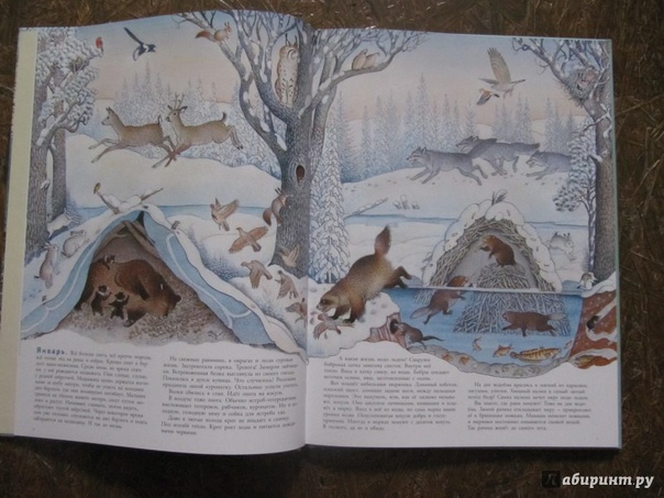 3D поделка "Жизнь леса"