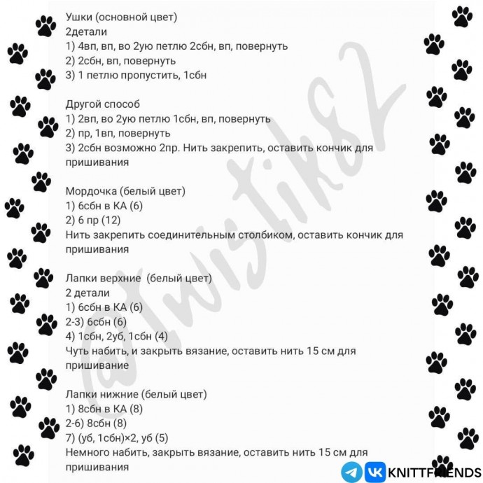 Котик Котик