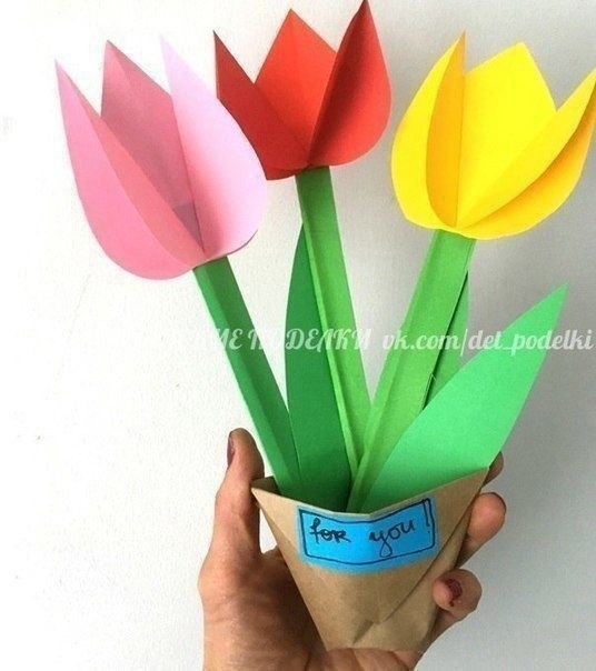 Разноцветные тюльпаны в бумажном стаканчике