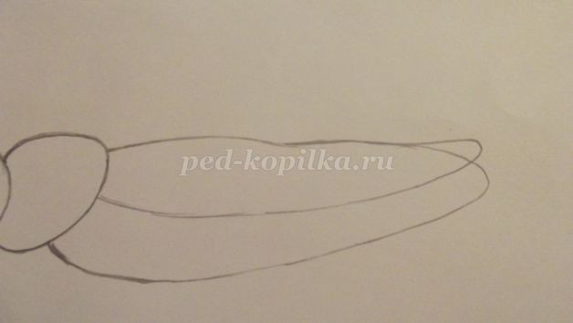 ​Рисуем кузнечика: часть 1