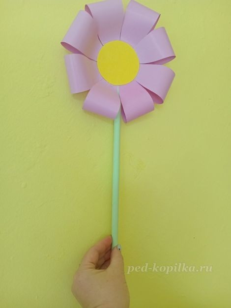 Цветок космеи: часть 2 Цветок космеи: часть 2