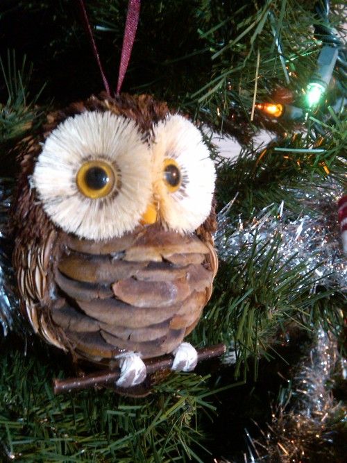 Совы из шишек: идеи Совы из шишек: идеи
