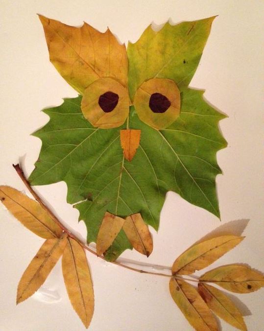 Творчество из листьев: идеи