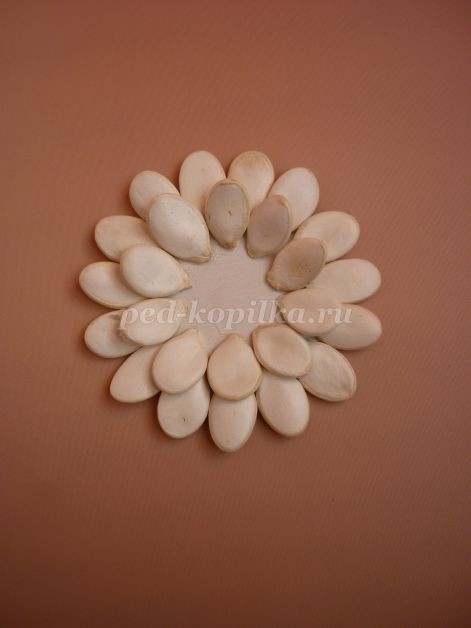 Цветы из тыквенных семечек детскими руками: мастер-класс Цветы из тыквенных семечек детскими руками: мастер-класс