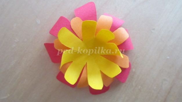 Клумба из бумаги: часть 2