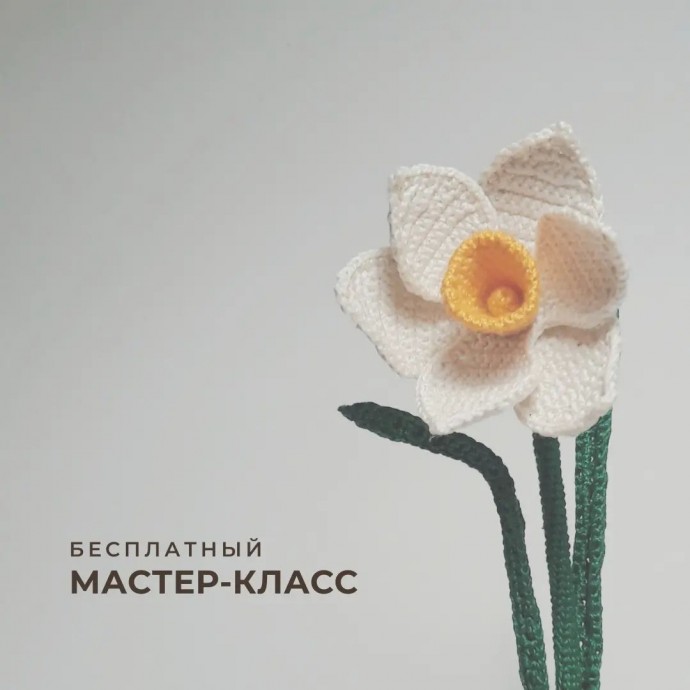 ​Нарцисс из пряжи