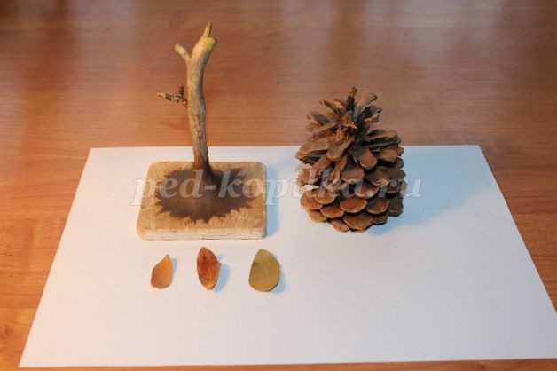 Прекрасная роза для лучшей мамы на свете