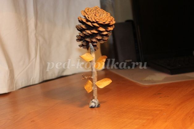 Прекрасная роза для лучшей мамы на свете