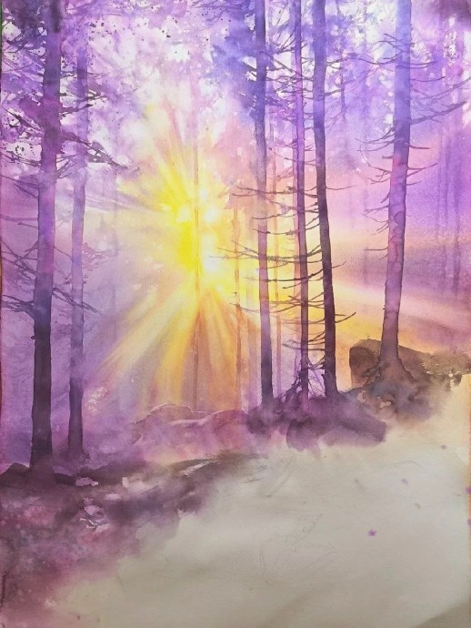 Рассвет в лесу Рассвет в лесу