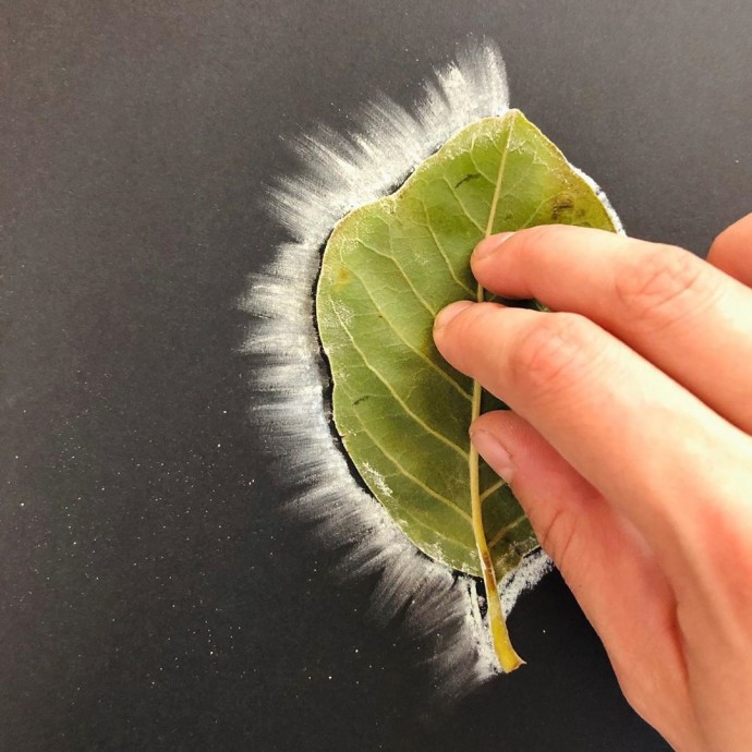 Рисуем листья мелом Рисуем листья мелом