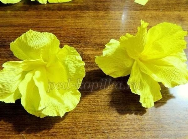 Цветы из гофрированной бумаги: мастер-класс