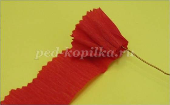 Гвоздика из креповой бумаги Гвоздика из креповой бумаги