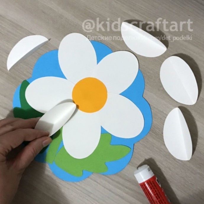 Ромашка с белыми лепестками и жёлтой серединкой