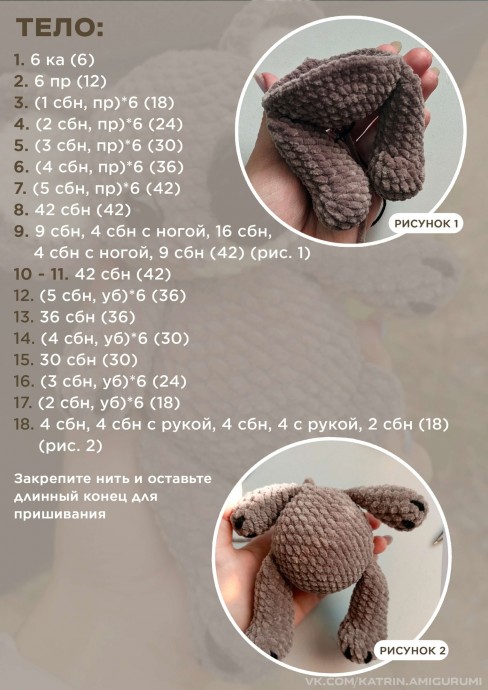 ​Коала Кики