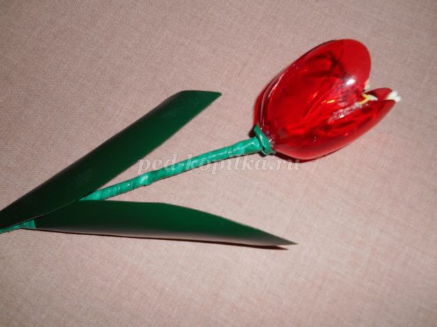 Красные тюльпаны из пластиковых ложек: часть 2 Красные тюльпаны из пластиковых ложек: часть 2
