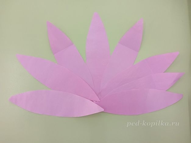 Цветок космеи: часть 1 Цветок космеи: часть 1