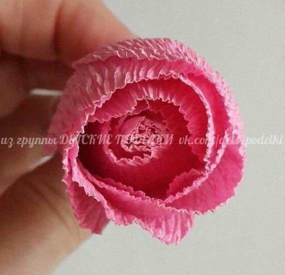 Прекрасные розы Прекрасные розы