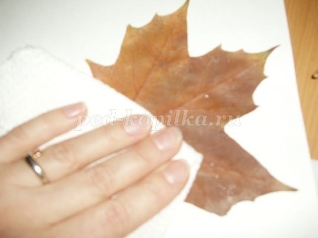 Аппликация из листьев: натюрморт Аппликация из листьев: натюрморт