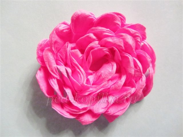 Георгины из гофрированной бумаги