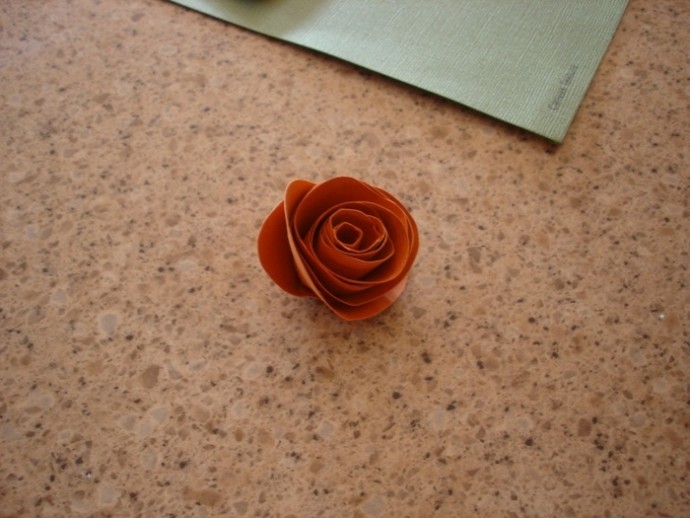 Крученные бумажные розочки Крученные бумажные розочки